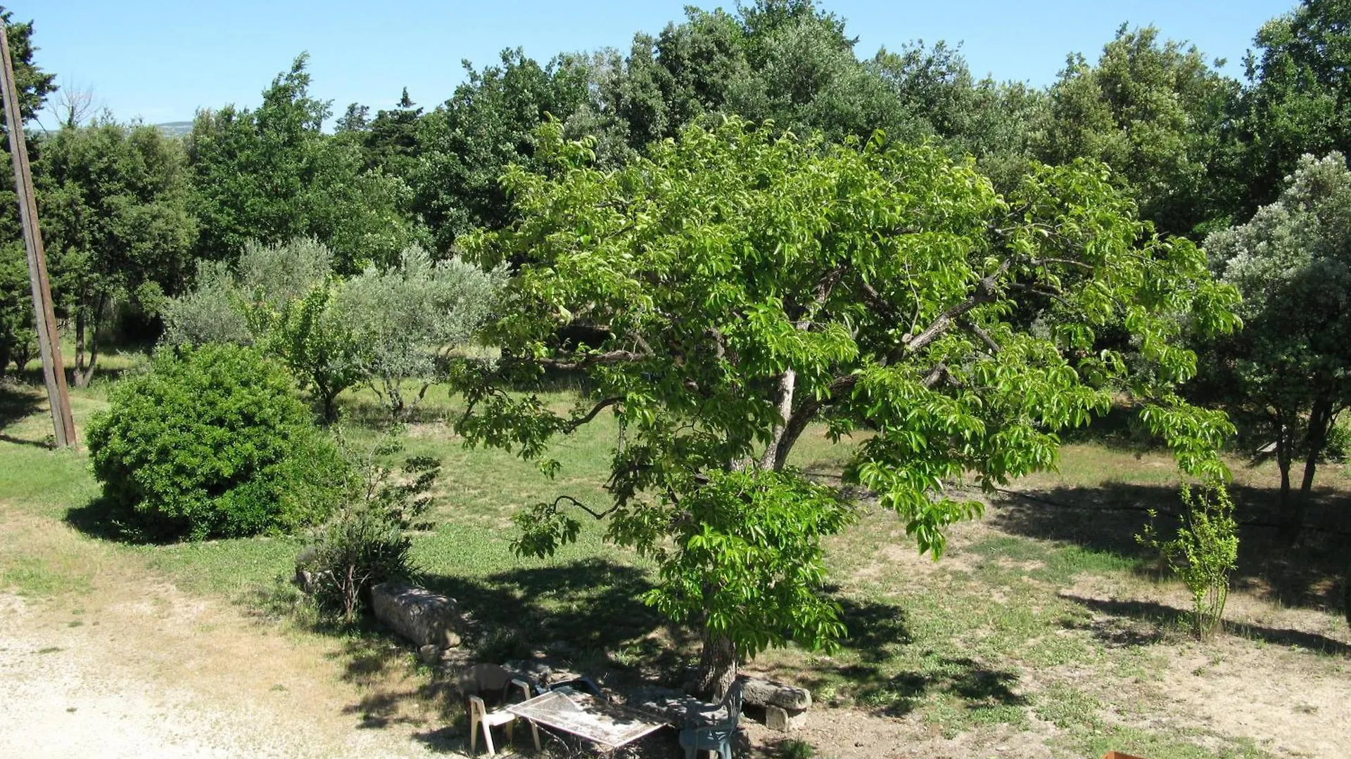 Bed & Breakfast Mas La Vitalis Chambres D'Hotes LʼIsle-sur-la-Sorgue