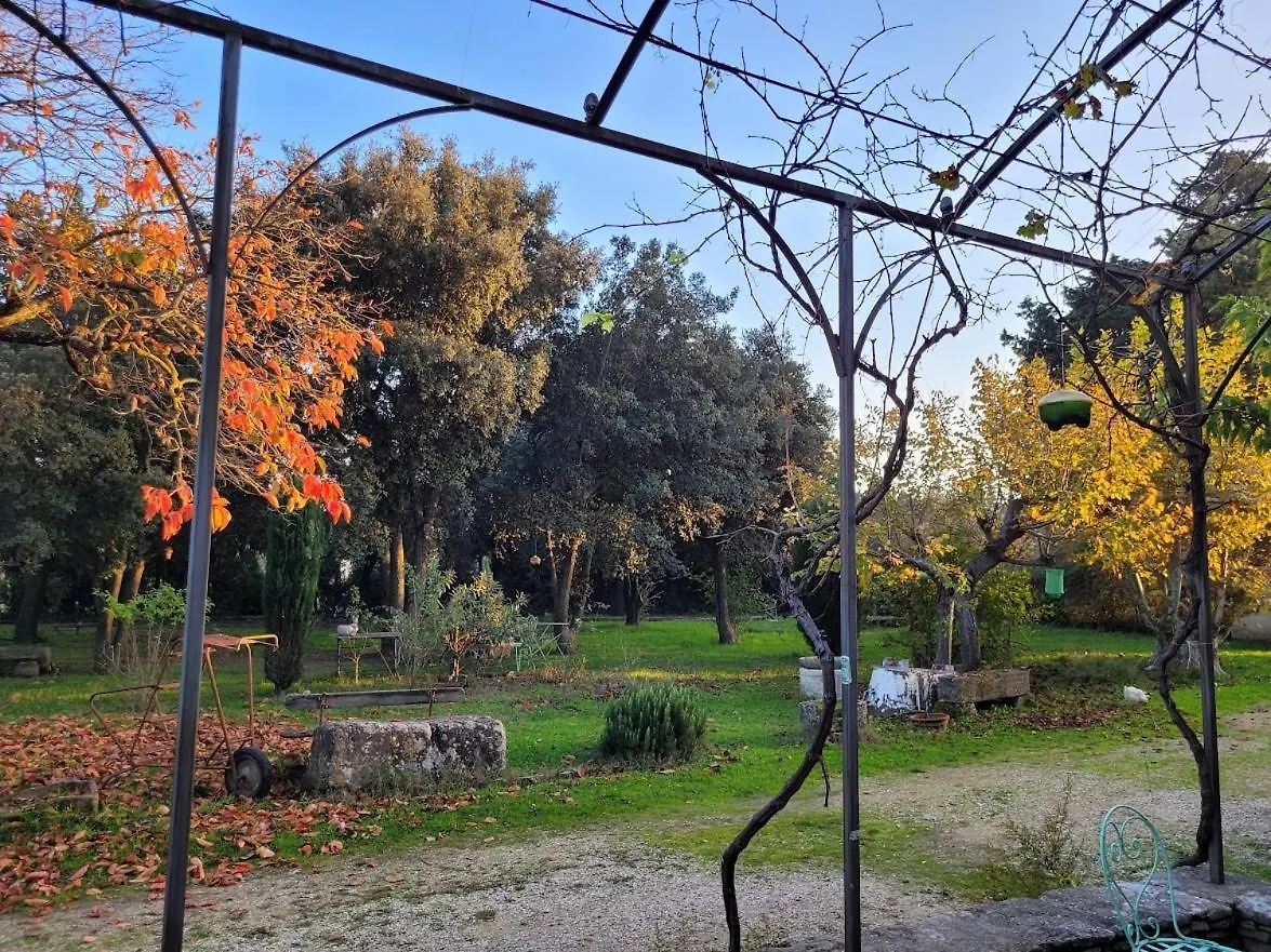 Mas La Vitalis Chambres D'Hotes LʼIsle-sur-la-Sorgue Frühstückspension