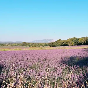 https://maison-francoise.aixenprovencehotels.org