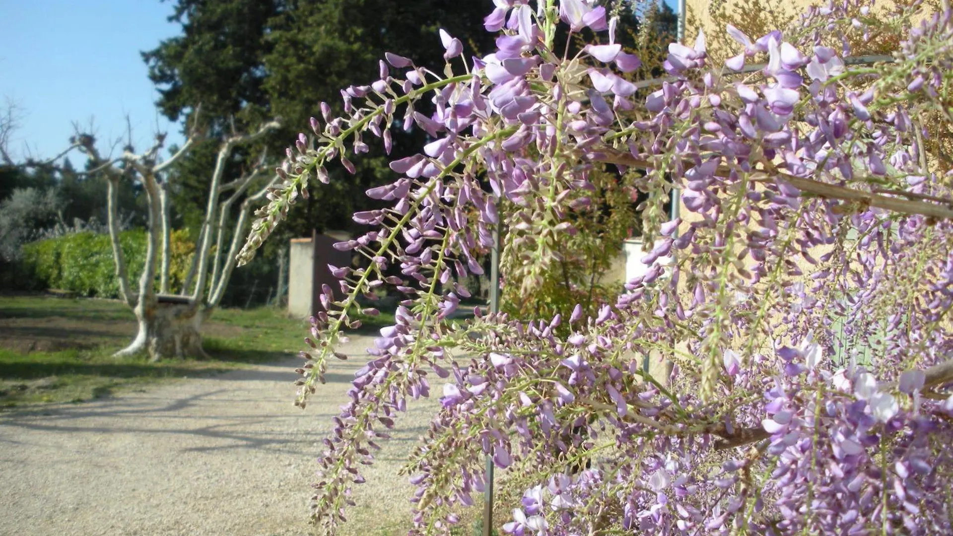 Bed & Breakfast Mas La Vitalis Chambres D'Hotes L'Isle-sur-la-Sorgue